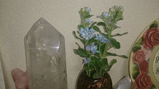 オキシペタラム